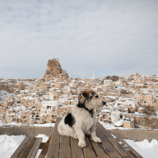 KAPADOKYA / KAYSERİ, 2015